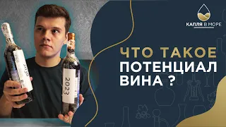 Выдержка и потенциал вина | Что это и как понять?