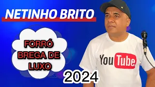 FORRÓ BREGA DE LUXO  Netinho Brito/ PINGO DE PAIXÃO/  PRA SE APAIXONAR  2024