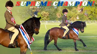 WINNING SUPREME CHAMPION AT OUR STAY AWAY SHOW!