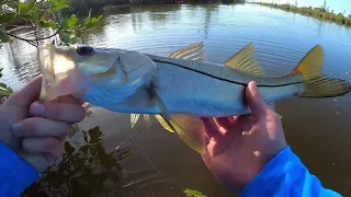 Cape coral FL canal fishing January 2023