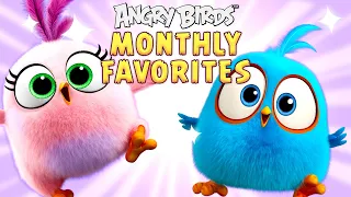 Angry Birds | Monthly Favorites 💖🌹