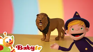 Kegembiraan Hewan dengan Teeny & Tiny | Singa 🦁 | Game Tebak Anak | Kartun @BabyTVIndo