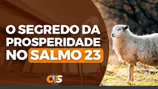 O SEGREDO da prosperidade no Salmo 23 | Bispo Jadson Santos