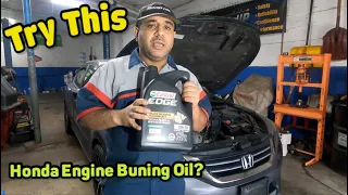 Try this to FIX Honda Oil Consumption issue!