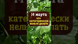 14 марта народный праздник Евдокия Свистунья. Что категорически нельзя делать. Народные приметы