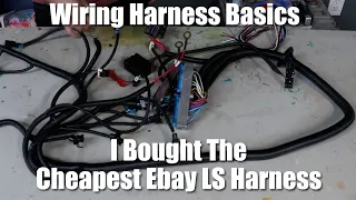 I Bought The CHEAPEST LS Wiring Harness - (LS Wiring Harness / ECU 101)