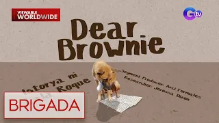 Amo ng inabandonang aso na si Brownie, ekslusibong nakapanayan ng Brigada! | Brigada