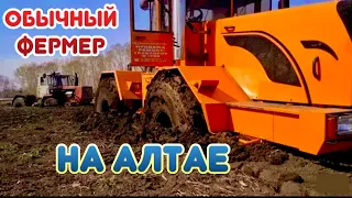 Фермеры Сибири…. Алтай - дикий край или все как у нас?