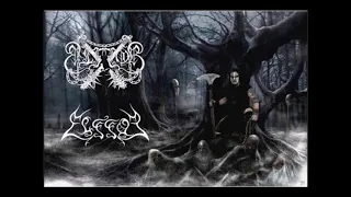 Elffor - Into The Dark Forest - Elffor Unblessed Wood |Two Full Albums|