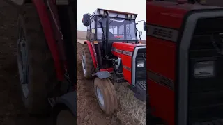 Massey Ferguson 265 s 5'li 12 Numara#masseyferguson #shorts #youtubeshorts