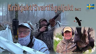 Kråkjakt/Svartfågeljakt Del 2