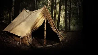 "My Last Camping Trip" creepypasta by Dustin Koski ― Chilling Tales for Dark Nights