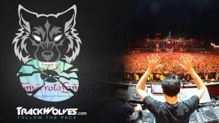 Laidback Luke + Sander van Doorn + Chuckie - Live @ Tomorrowland 2013 (Belgium) - 27.07.2013