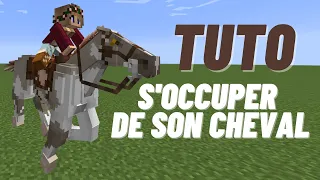 Comment s'occuper de son cheval !!! (Swem mod )