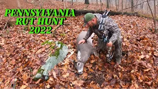 Pennsylvania Rut Hunt 2022