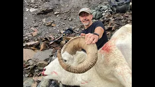 Brooks Range Dall Sheep Hunt 2022