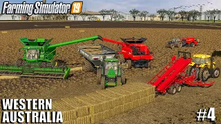 Finishing the WHEAT HARVEST on the Biggest Field | Western Australia | Farming Simulator 19 | #4