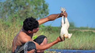 Unbelievable Fishing Technique - Big Monster Catching With Chicken #2022FishingVideo