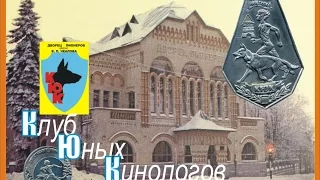 Клуб юных кинологов МБОУ ДОД ДДТ им.В.П. Чкалова г. Нижний Новгород