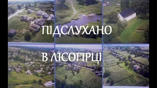 ГОРОДОЧЧИНА 2020. ПІДСЛУХАНО В ЛІСОГІРЦІ / ЛІСОГІРКА. ГОРОДОК. ХМЕЛЬНИЧЧИНА / ЩЕДРИК. ЩЕДРИЙ ВЕЧІР