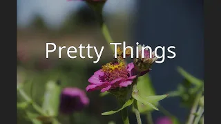 Pretty Things