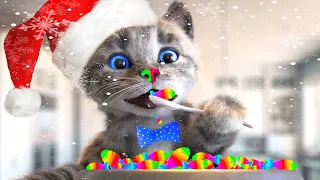 FUN CHRISTMAS LITTLE KITTEN ADVENTURE FOR TODDLERS - SPECIAL LONG SANTA JOURNEY - MEOW