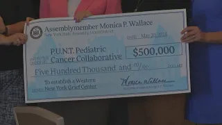 Wallace secures $500k for establishment of WNY family grief center