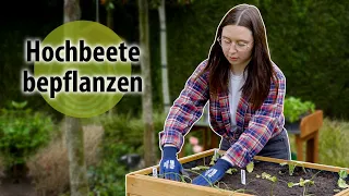 Hochbeet bepflanzen: Gemüsebeet mit Pflanzplan | dobarsmart leisure