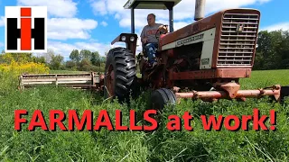 FARMALL tractors at work making hay