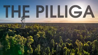 Nearly 5 years in the making... The Pilliga Forest, NSW.