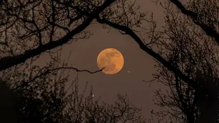 the moon is beautiful ; a playlist