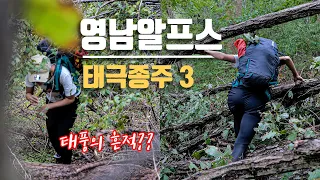 영남알프스 태극종주 이길이 맞나요? 알바천국 영축산-신불산-간월재-간월산｜억새추천 Korea autumn mountain trekking hiking｜등산