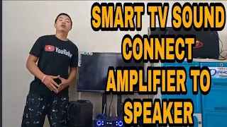 SMART TV SOUND AMPLIFIER TO SPEAKER