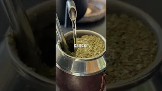 Does Yerba Mate Cause Cancer?🧉