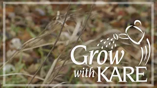 Grow with KARE: How did plants fare after a wacky winter?
