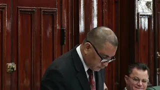 Hon. Alister Charlie's contribution to the Budget 2019 Debate