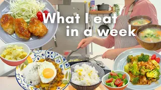 What I eat in a week | Easy & Healthy Japanese Cooking | Chicken Katsu, etc | Living in Canada 🇨🇦