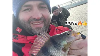 Лучший силикон на Окуня!!! FishUp TANTA👍👍👍 всегда ловит💯