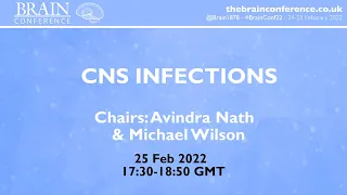 THE BRAIN CONFERENCE 2022:  CNS Infections Session