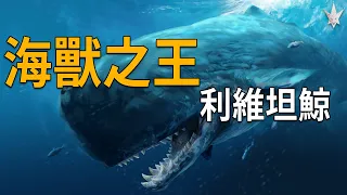 海獸之王「利維坦鯨」，君臨海洋哺乳類的王者，所有鯨類代表最強的存在，唯一能跟巨齒鯊一較高下的生物，兩者對決誰會獲勝？