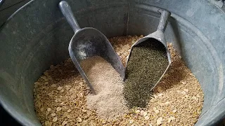 Here's What I Feed my Chickens!