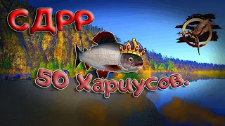 Поймал 50 штук ХАРИУСА / Со дна Русской рыбалки. ( Russian Fishing 4/Русская рыбалка 4 )