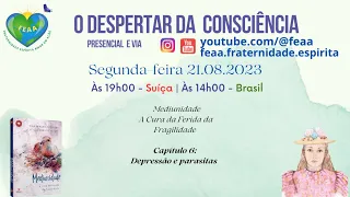 Mediunidade   A Cura da Ferida da Fragilidade  Capítulo 6: Depressão e parasitas