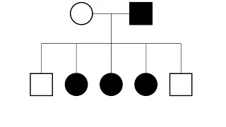 X-Linked Pedigrees MADE EASY