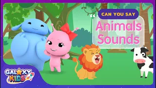 Let's Learn Animals Names and Sounds | Learn Animals for Kids in English | Kids English Learning App