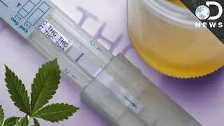 How Accurate Are Drug Tests?