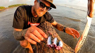 BUILDING A SURVIVAL SHELTER and WOULD YOU EAT THESE FISH? (found on a beach)