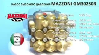 Плунжерный насос высокого давления Mazzoni GM30250R