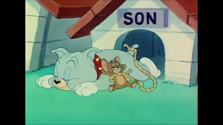 Tom and Jerry, 44 Episode   Love That Pup 1949