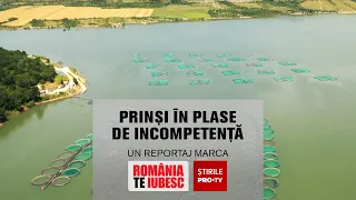 Prinși în plase de incompetență, reportaj realizat de echipa România, te iubesc!